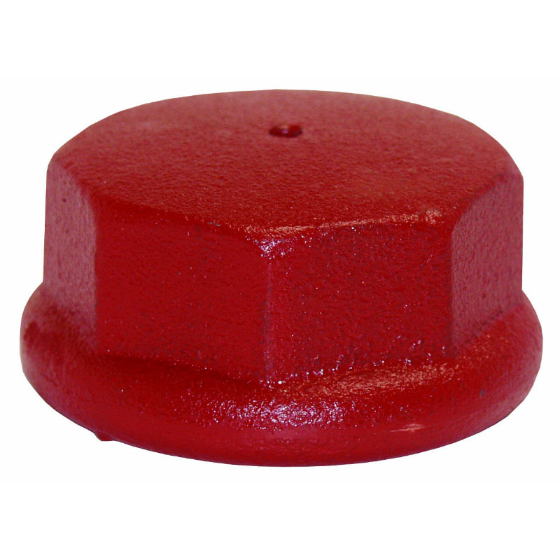 Water Source™ DC200 Cast Iron Drive Cap, 2"