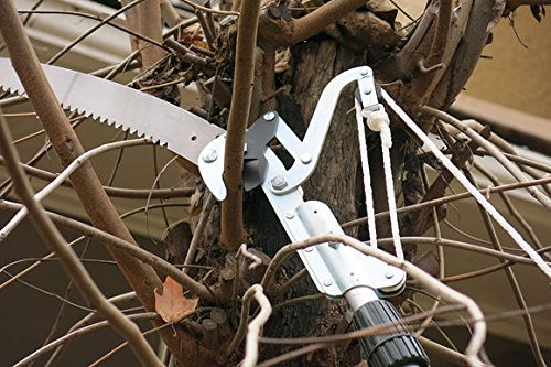 Fiskars 92406935 Pruning Stik Extendable Tree Pruner, 7.9'-12'