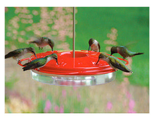 Audubon™ NAH1 Plastic Classic Hummingbird Feeder, 8-3/4", 12 Oz Capacity