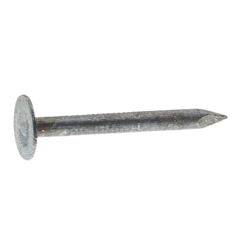 Hillman Fasteners™ 461619 Electro-Galvanized Roofing Nais, 1.5", 50 Lb