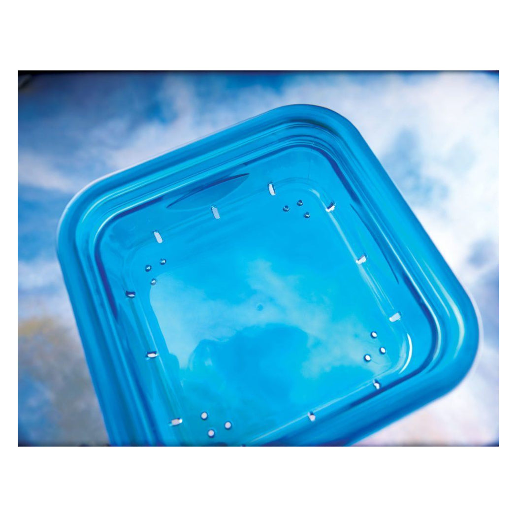 More Birds 38200 Blue Snacks-N-Treats Single Dish Bird Feeder with Hook