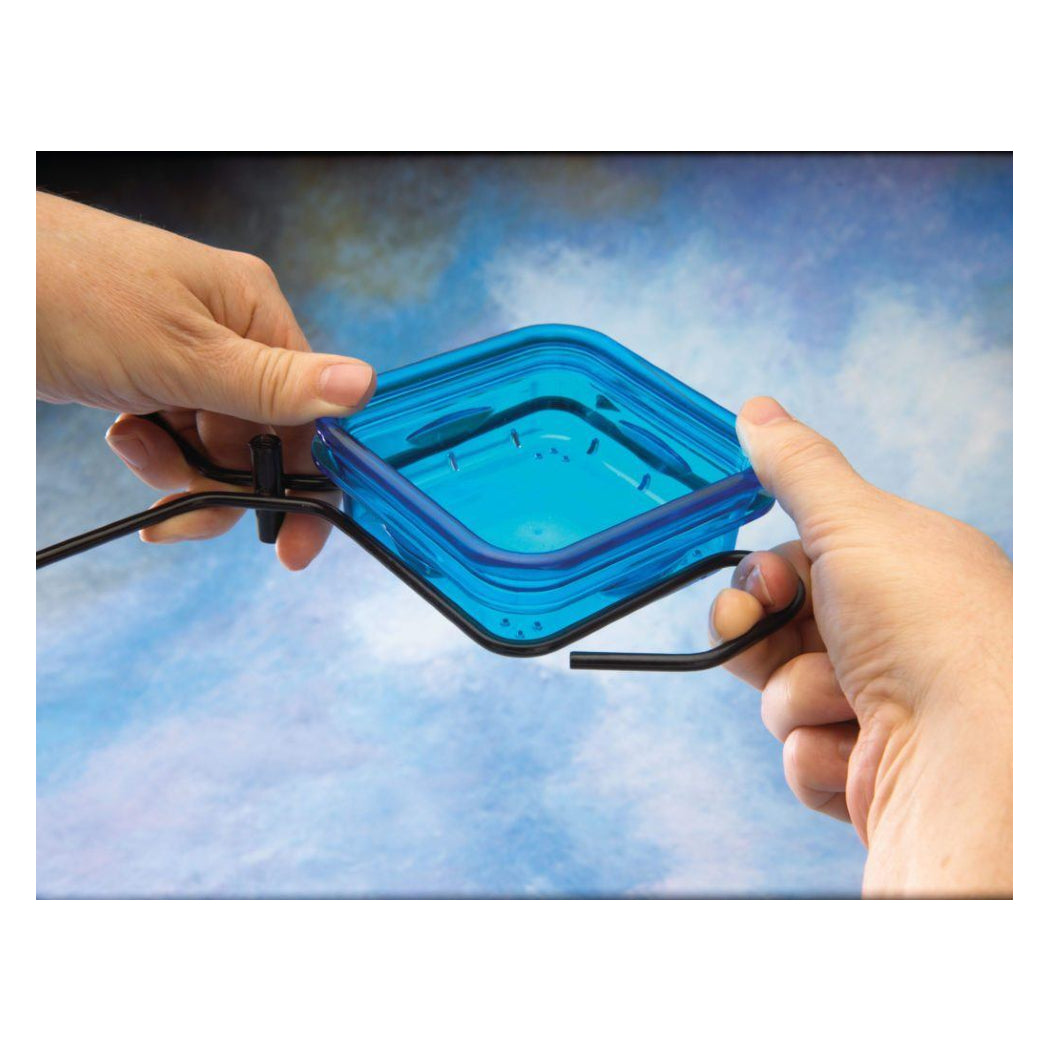 More Birds 38200 Blue Snacks-N-Treats Single Dish Bird Feeder with Hook