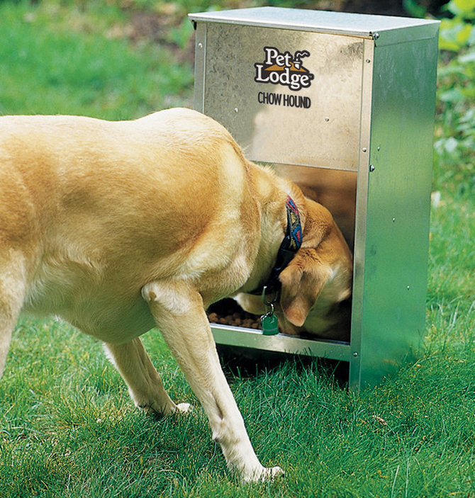Pet Lodge CH12 Chow Hound Pet Feeder, Galvanized Steel, 12 Lb