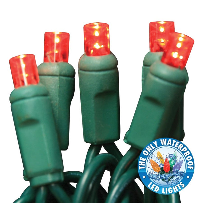 Holiday Bright LEDBX-WA50-RD6 Contractor Grade LED 50 Light Set, Red