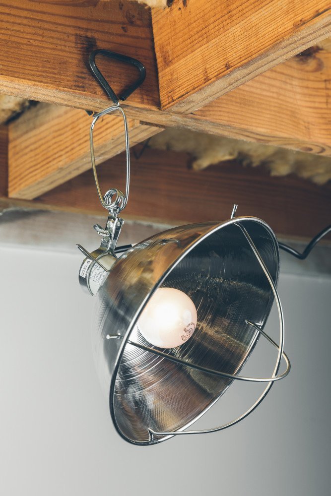 Master Electrician 166BINME Brooder Clamp Lamp with 10" Reflector & Guard, 300W