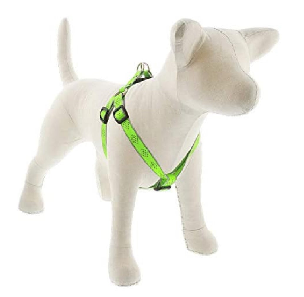 Lupine Pet 48145 Reflective Step in Dog Harness, 3/4 Inch x 20-30 Inch
